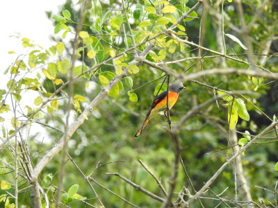 DSCN2208.JPG