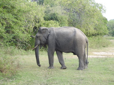 DSCN2211.JPG