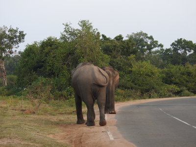 DSCN2253.JPG