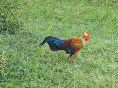 DSCN2270.JPG