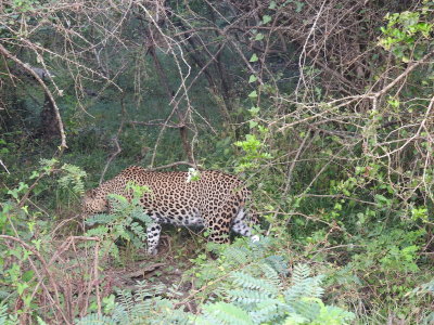 DSCN2280.JPG