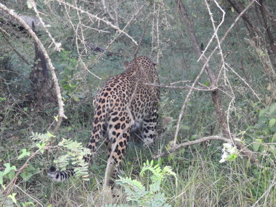 DSCN2281.JPG