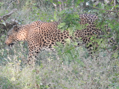 DSCN2286.JPG