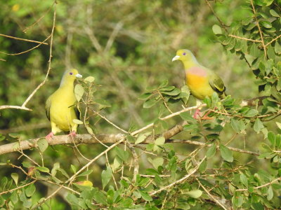 DSCN2295.JPG