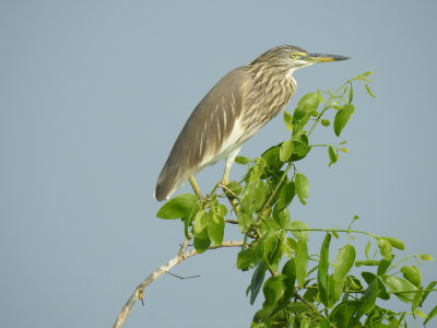 DSCN2348.JPG