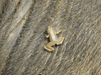 DSCN2356.JPG
