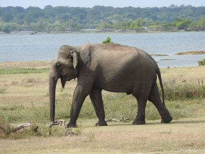 DSCN2363.JPG