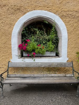 IMG_9312.jpeg