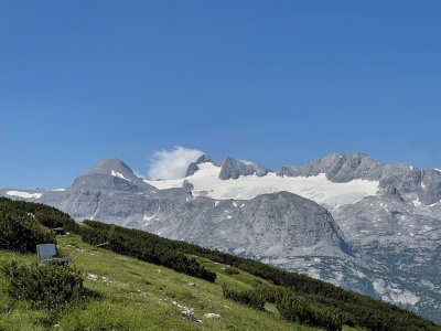 IMG_9342.jpeg
