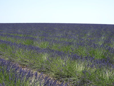 DSCN3956.JPG