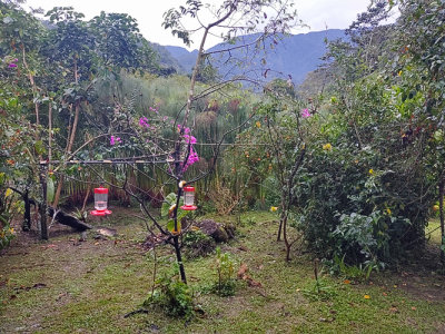 Feeders at the Ecolodge