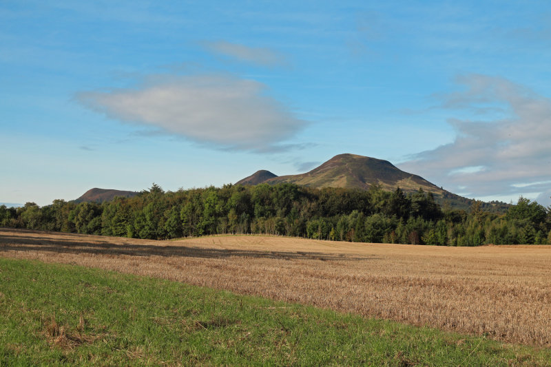 Eildons