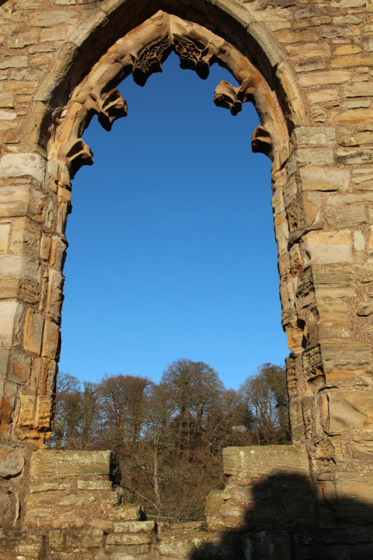 The arched window