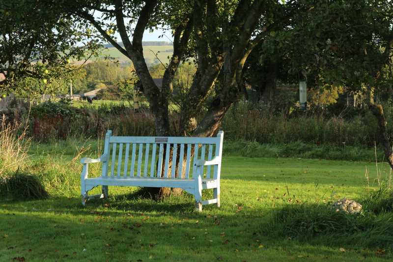 The seat under the apple tree
