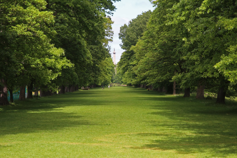 The avenue at Gibside