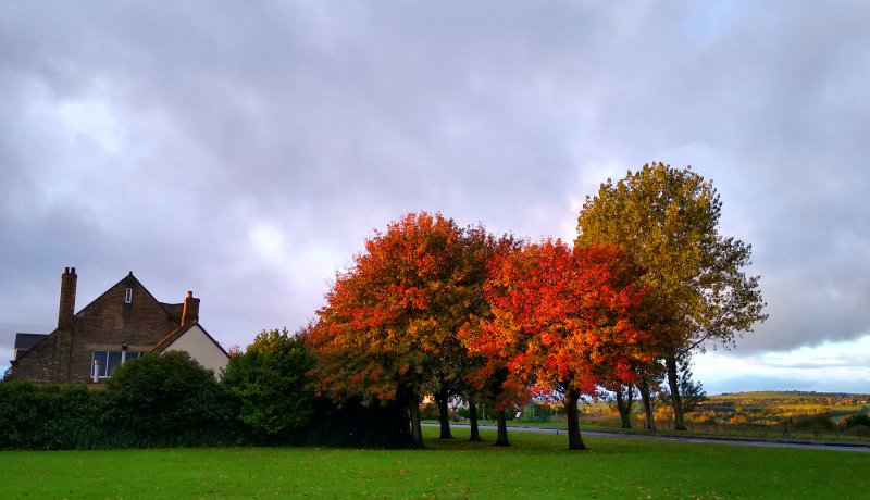 Autumn at the Chapel