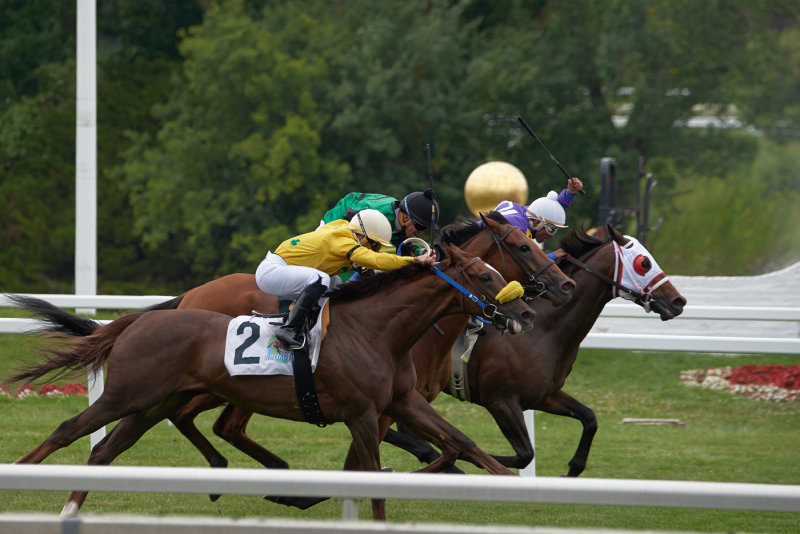 Arlington Park Race Course