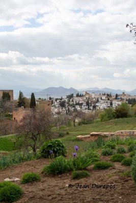 Granada, La Alhambra. The Albaicin in distance - Spain