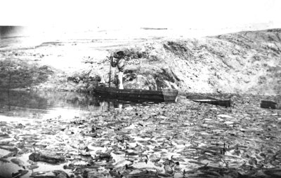 Historical Lake Jackson 1907.jpg