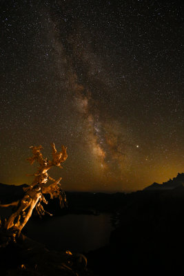 Old snag against the Milky Way II