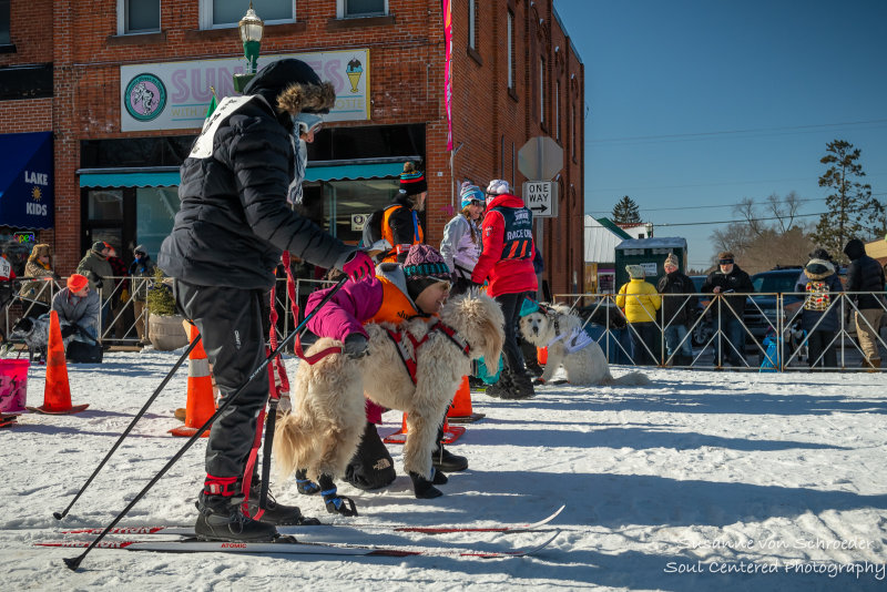 Barkie Birkie in Hayward, Wisconsin 3