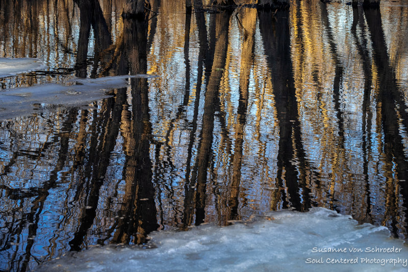 Transition - ice, water, reflections 2
