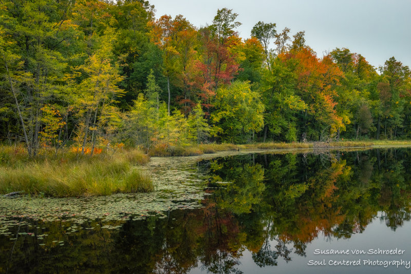 Early fall colors at Perch Lake 3