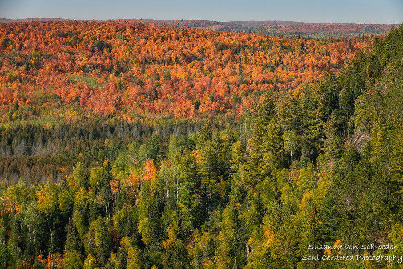 Fall colors in the north country 2