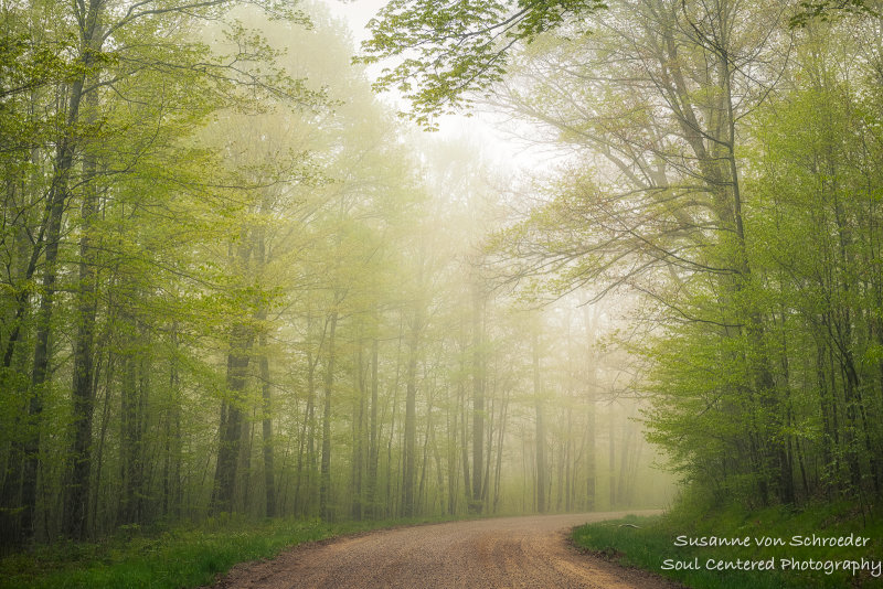 Foggy morning drive through the Blue Hills