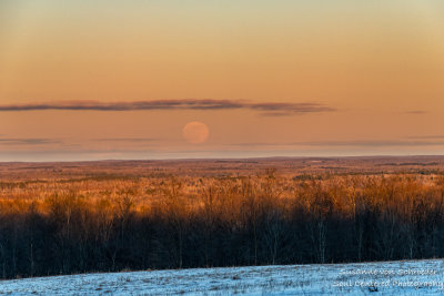 Full Blue moon rising