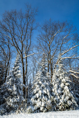 White & Blue