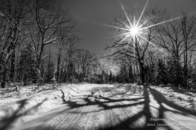 A gorgeous winter day