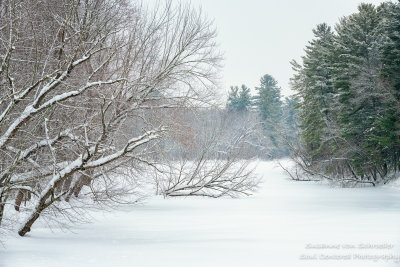 The Chippewa River, winter scene