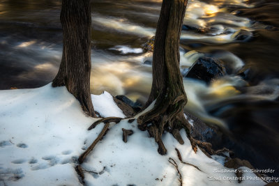 Along the Tyler Fork, early spring 2