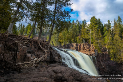 Gooseberry falls with Tree root