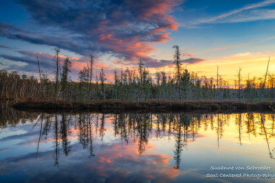 Sunset, floating bog