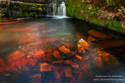 Devil's Kettle, Blue Hills