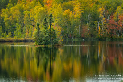 Early fall colors