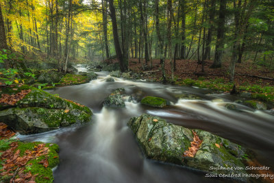 Magical Creek, early fall