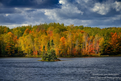 A windy and gorgeous autumn day