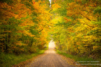 Fall colors, road