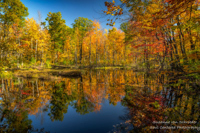 Brilliant fall colors reflecting in a small pond