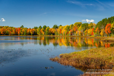 Fall landscape near Clam Lake