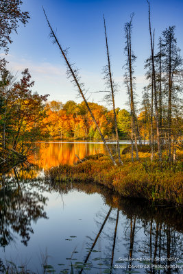 Autumn morning, Audie Lake