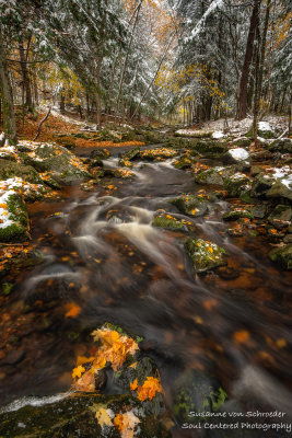 First snow, creek in the Blue Hills 1