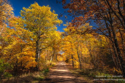 Road with brilliant fall colors 2