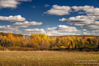 Late Fall landscape