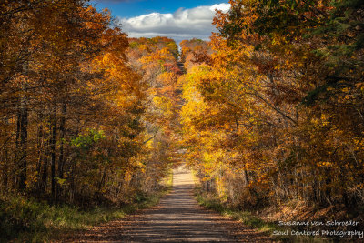 Late Fall colors, road 2