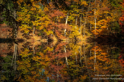 Late fall colors, reflections