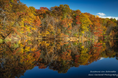 Late fall colors, reflections 2